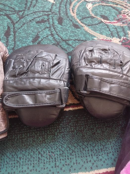 Боксёр першатка сы