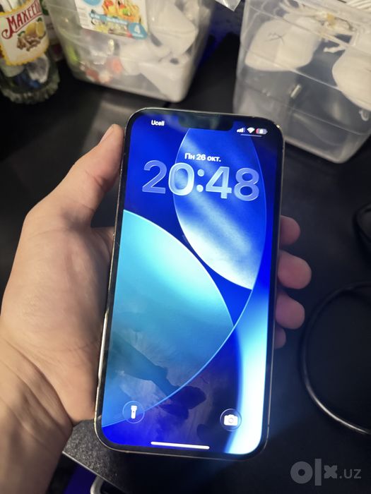 Iphone 13 promax