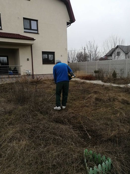 Taiere/Toaletare copac, copaci,pomi,Defrisare teren,Scoatere Radacina