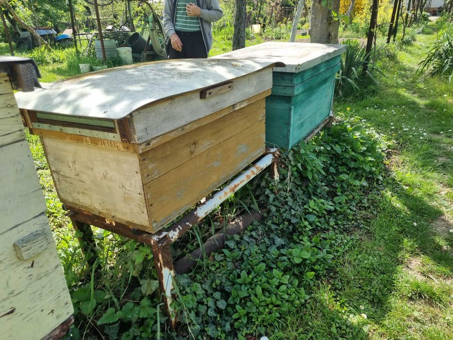 Vand cutii stupi albine