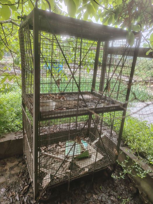 Продам клетку для кур.