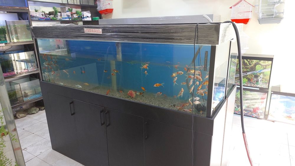 Аквариумы для офисов и дома.