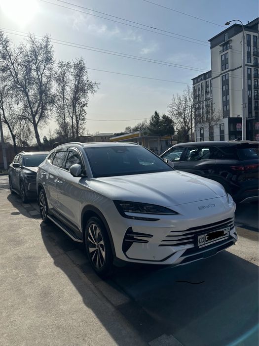 Byd chempion gibrid 2024 yil 150 tali