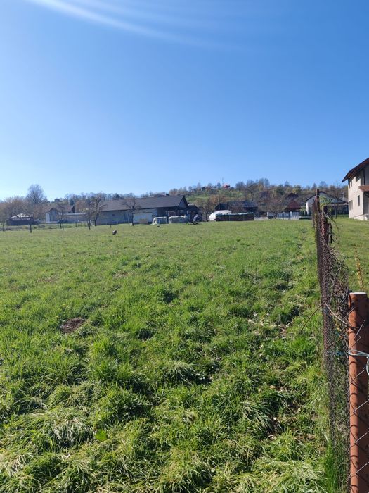 Teren Rus -La 12 km de Baia Mare.  Maramures.