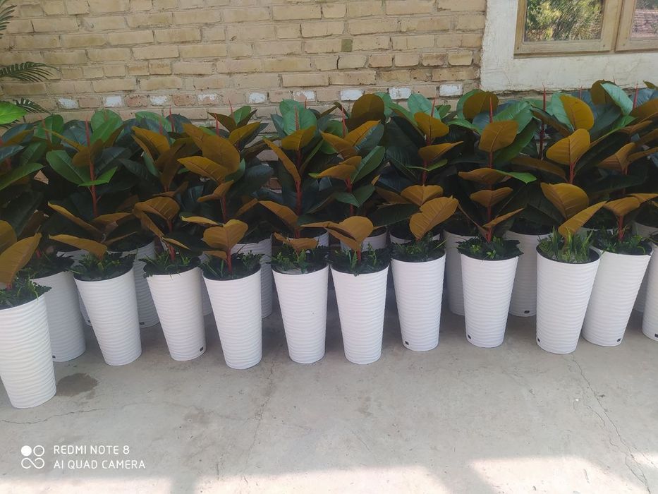 Suniy gullar optom narxlarda