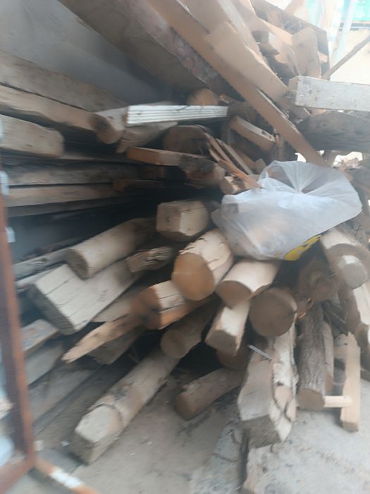 Утинлик калама урик дарахти бир мошин