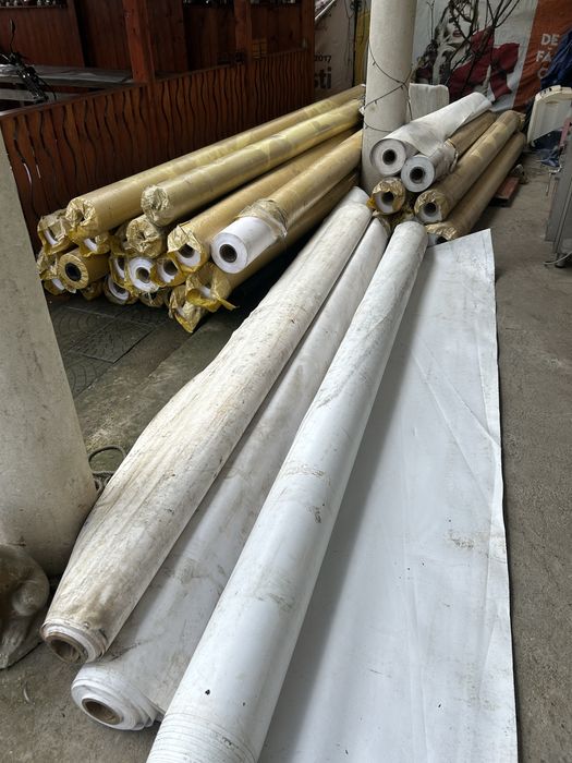 Vand prelate pe sul aduse din germania