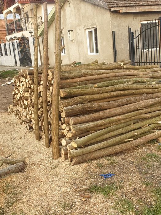 Pari de card electric