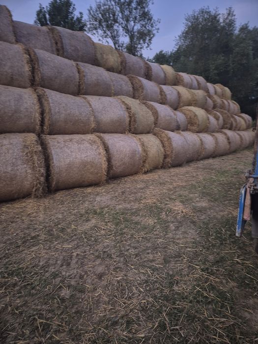 Baloți Lucernă,Paie de Orz,Paie de Grâu