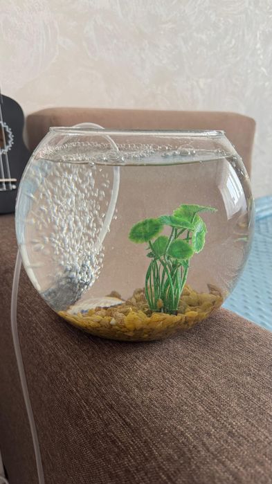 Аквариум с фильтром