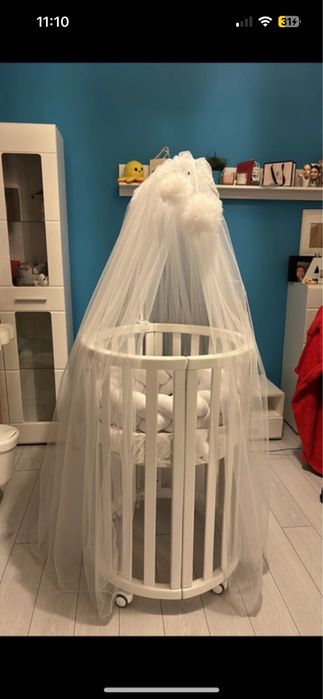 Patut rotund/oval evolutiv NOU