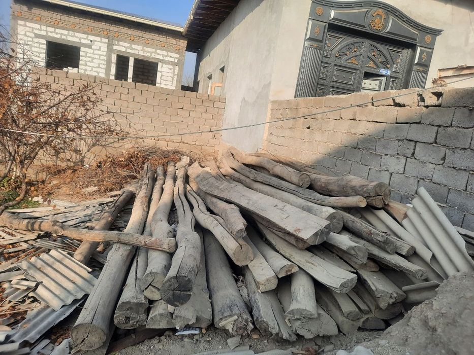 Болол сафедор опши