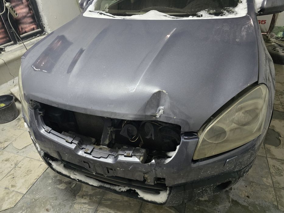 Костоправ-маляр.