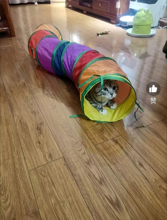 Тоннель палатка игровая для кошек котов домик