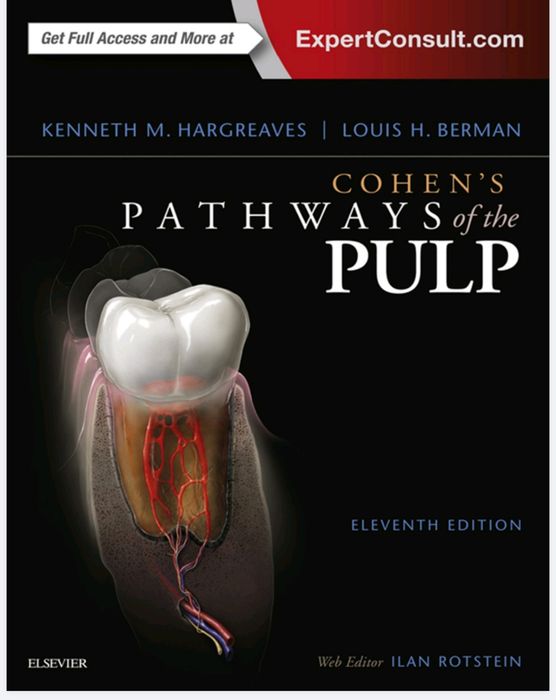 Cohen's Pathways of the Pulp