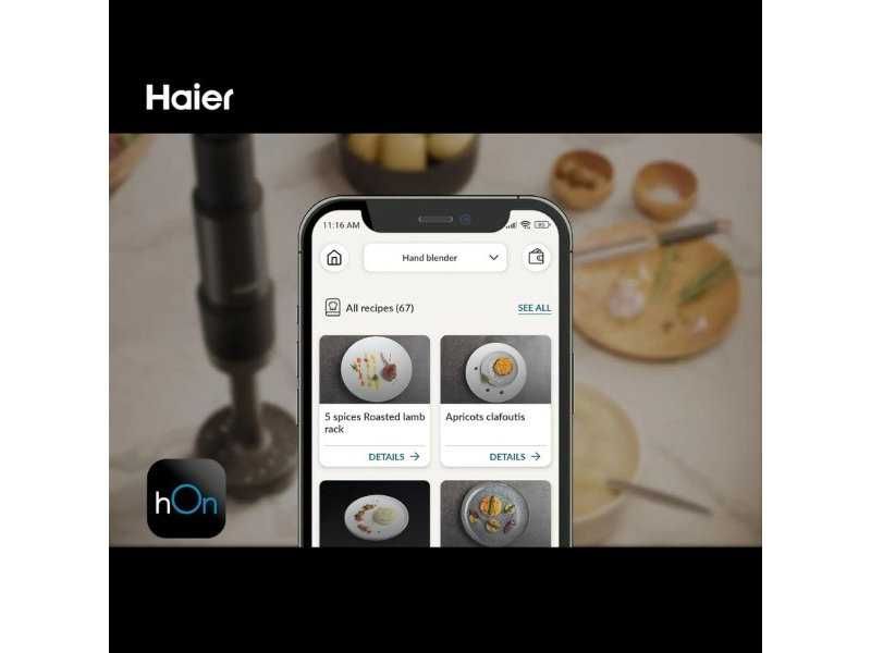 Кухненски Пасатор Haier HHB5B5 011 - 1000W, Черен
