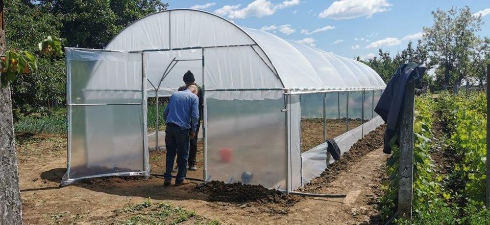 Solarii Rezistente  Baleni Sârbi