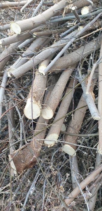 Отдам даром на дрова.