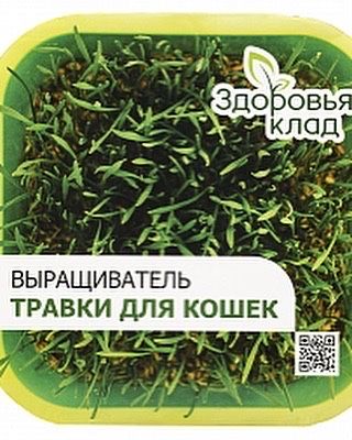 Проращиватель травки для кошек (гидропоника)