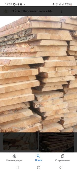 Sosna neobreznoy sotiladi