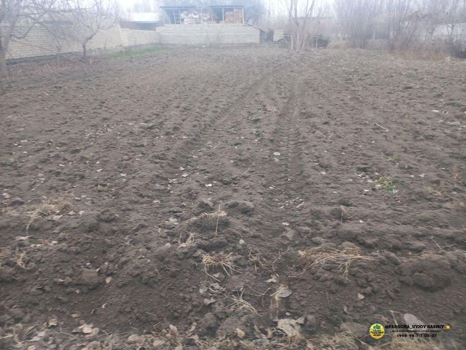 Toshloqda 10 sotx chek sotladi