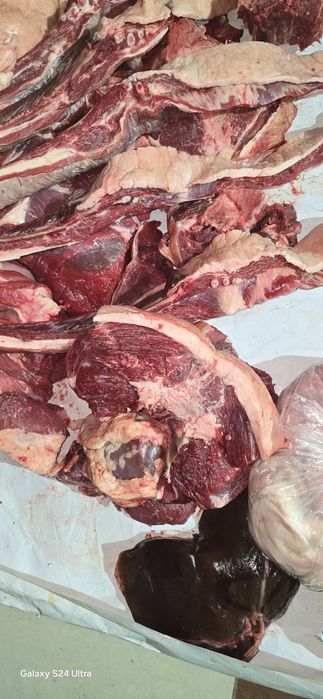 СОҒЫМ  тай еті қазысы бір елі