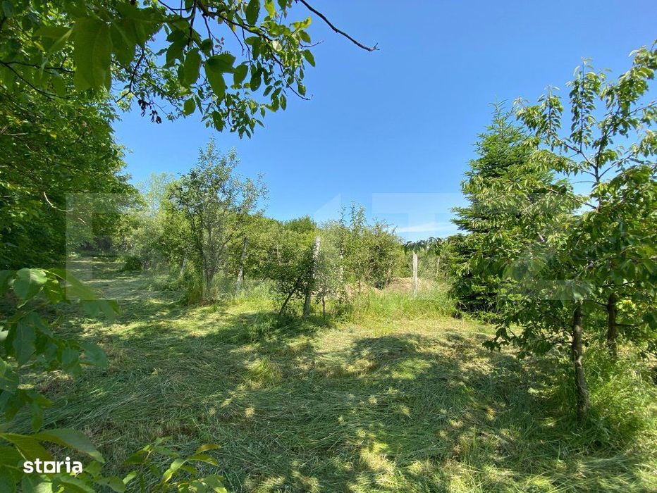 Teren intravilan de vanzare – 30 ari – Zona Podul Jelnei – prive