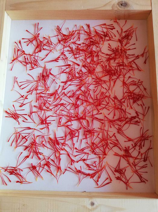 Шафран от производителя