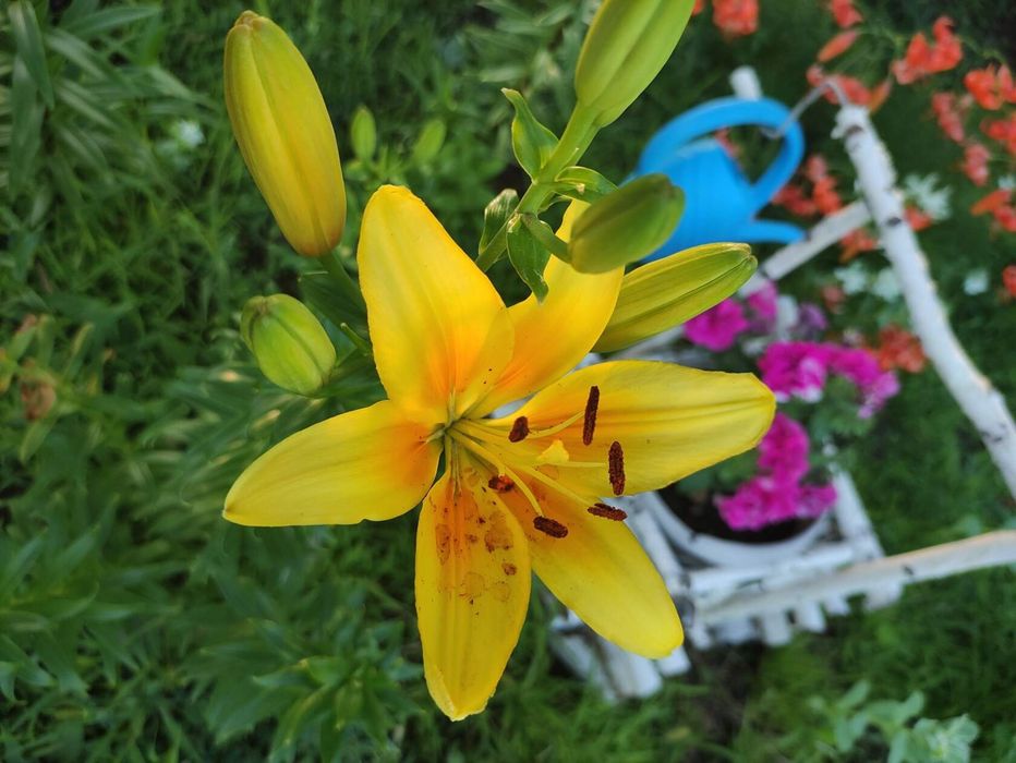 Продам дачу на Аблакетки