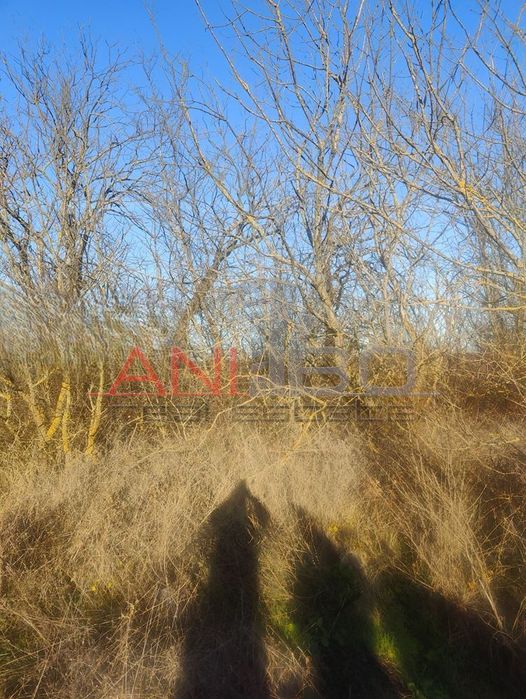 Продава се Парцел в с. Кичево, Област Варна - 351 кв.м за 38 €/кв.м - Снимка #1