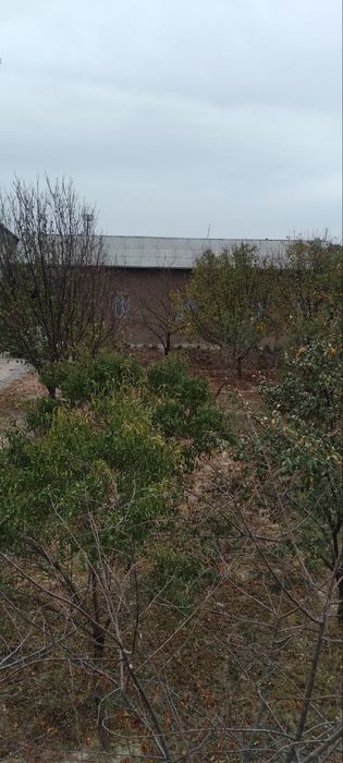 UY sotiladi narxi 600mln 6 sotik yer va 5 sotik boğ