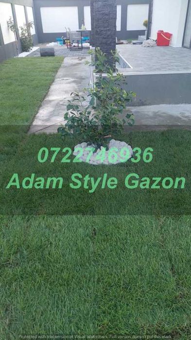 Gazon Verde Natural pentru Orice Proprietate