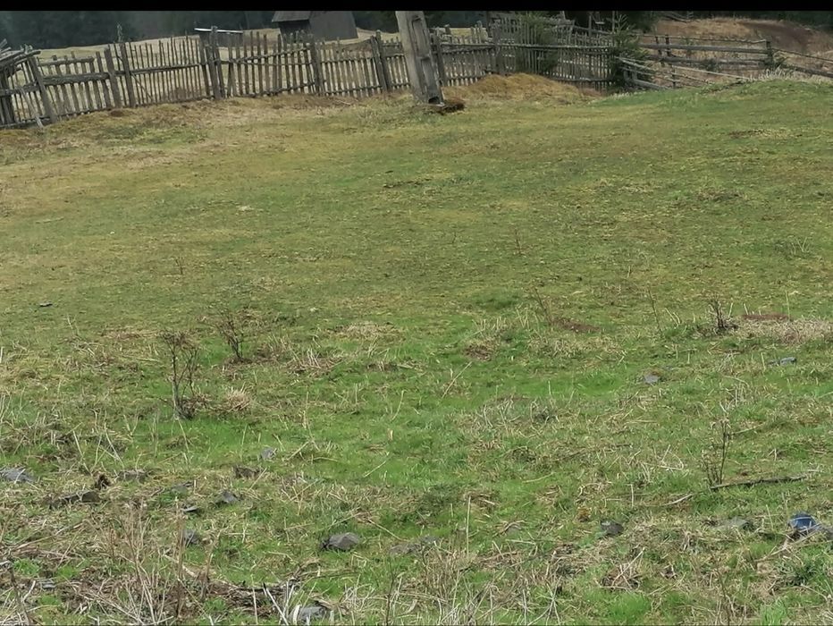 Teren Suceava - Carlibaba- Catun Pleta