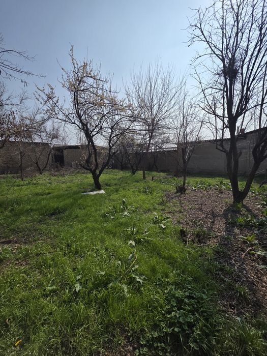 Кибрай тумани Қипчоқ маҳалласида 7 сотихли ер участкаси сотилади.