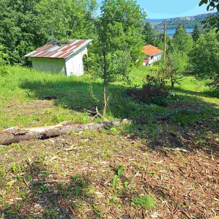 Поддръжка и почистване на зелени площи/Косене на трева