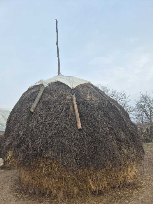 Vand stog lucerna+trifoi