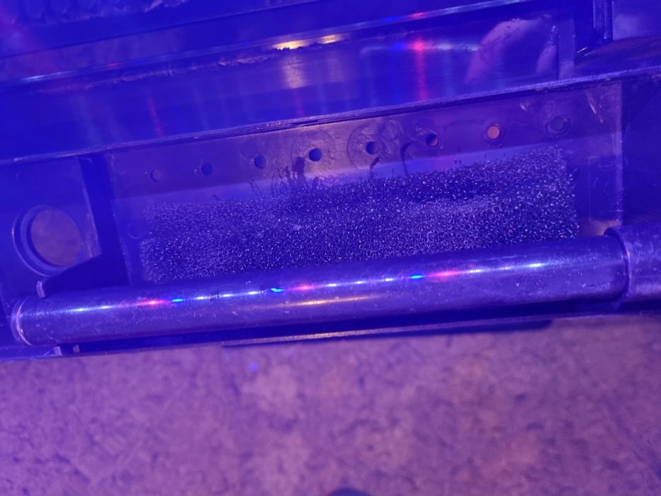 Vând acvariu pești