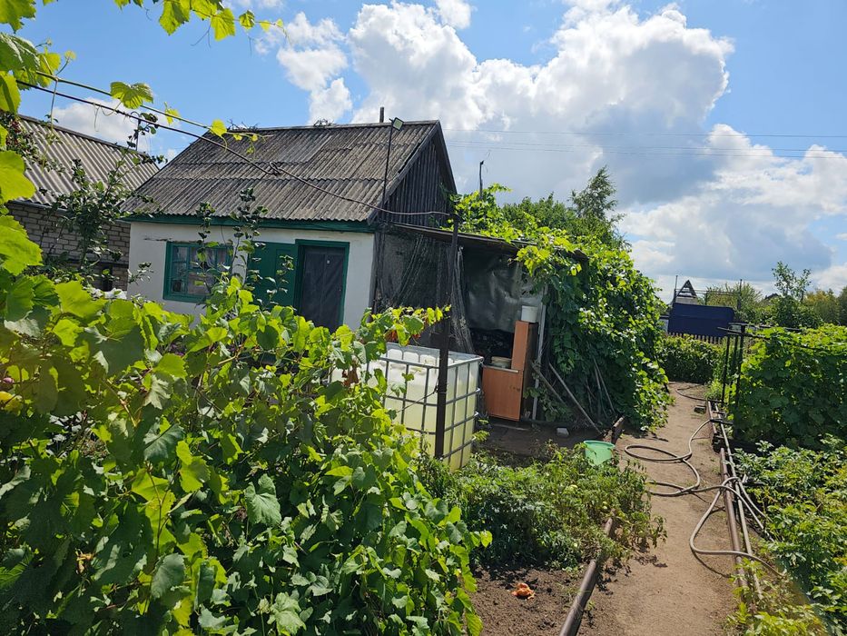 Продам дачу в саду "Клён"