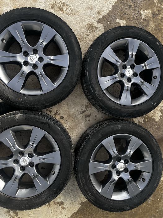 Сиена аяғы 235/19