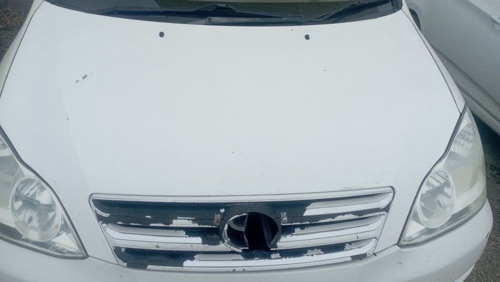 Капот Ипсум 2006 ж