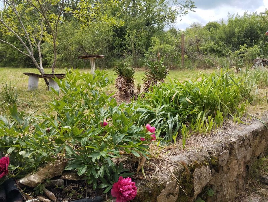 Продава се Къща в с. Долище, Област Варна - 60 кв.м за 1484 €/кв.м - Снимка #22