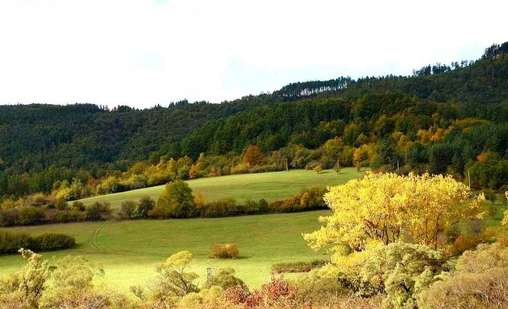 Продава се Къща в с. Горочевци, Област Перник - 820 кв.м за 318 €/кв.м - Снимка #23