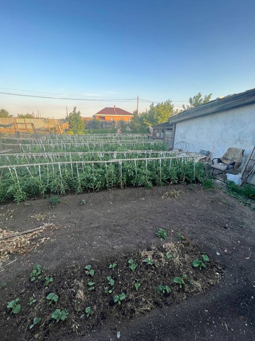 Продам Дом Бестобе напротив 101/Wildberries