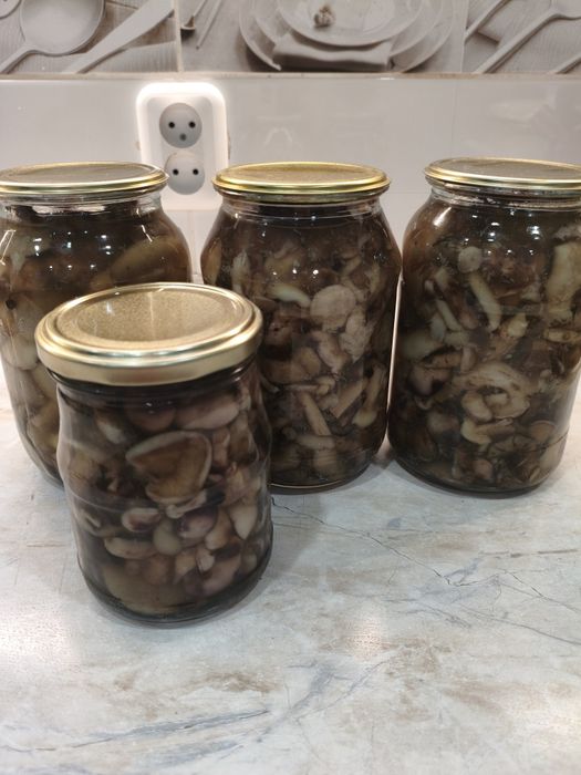 Грибы маслята маринованные