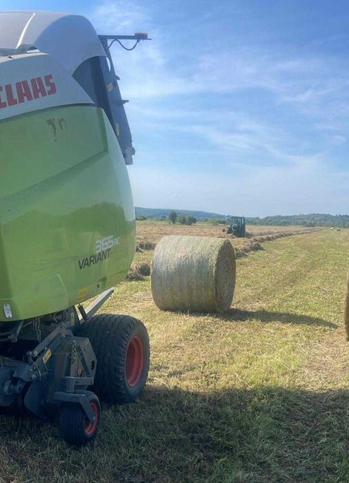 Lichidare Ferma Bovine Charolais Vaci Bio Utilaje Tractor Balotiera