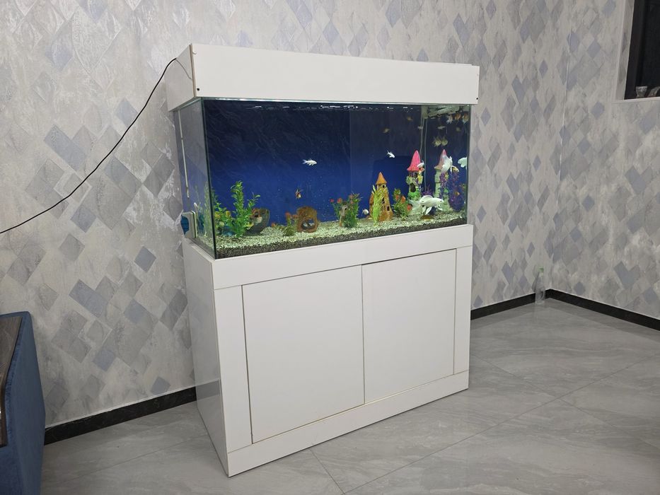 Kamplekt Akvarium 400L + Baliqlar + Mebel + Atman filtr bilan sotiladi