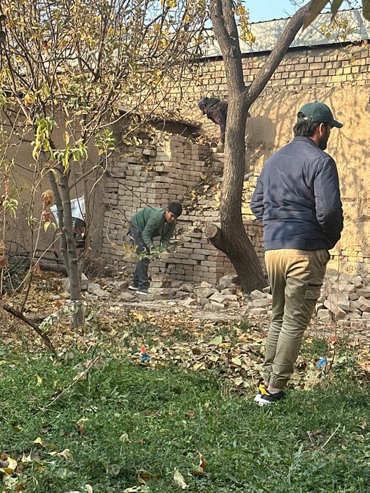 NIKOLAY G’ISHT sifatli bur hil