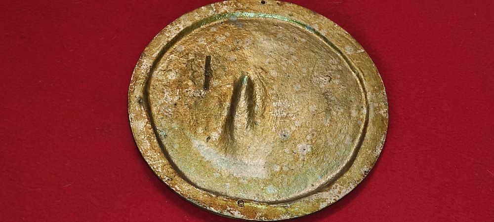 APLICA ( se agata ) CASTELUL PELES in relief diametrul 22 cm aplica este turnata ( cred aluminiu / fonta )