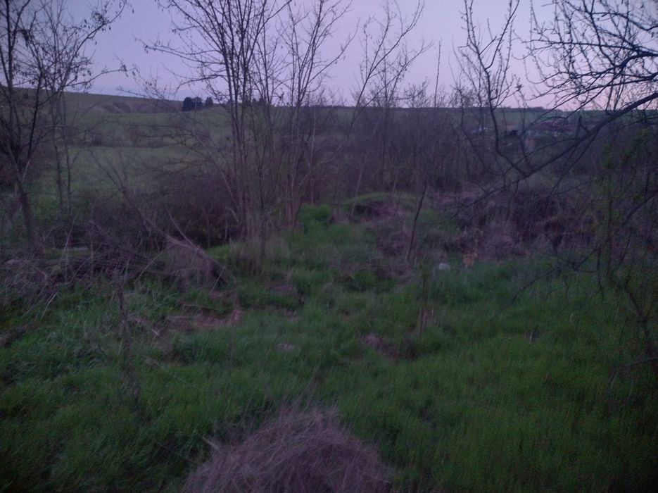 Продава се Парцел в с. Разделна, Област Варна - 1100 кв.м за 10 €/кв.м - Снимка #9