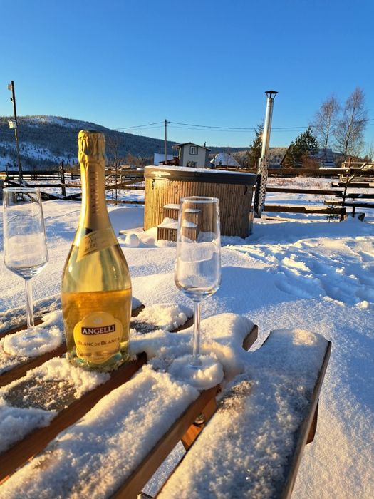 Tiny house maguri ciubar chirie